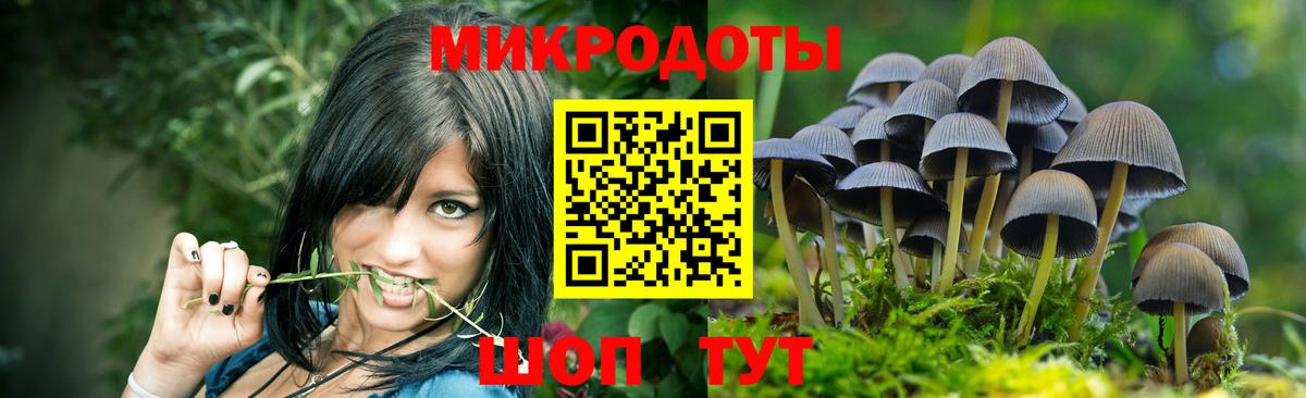 Псилоцибиновые грибы мицелий  Вход с VPN  Камень-на-Оби  Галлюциногенные грибы мухоморы 